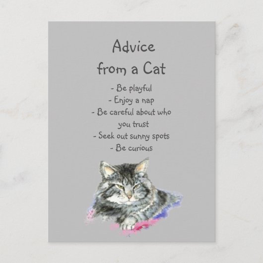 Carte Postale Conseil d'un Humour animal amusant de chats (Devant)