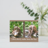 Carte Postale conseil : La vie est courte, amusez-vous (Debout devant)