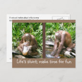Carte Postale conseil : La vie est courte, amusez-vous (Devant / Derrière)