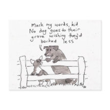 Conseil pour un chiot