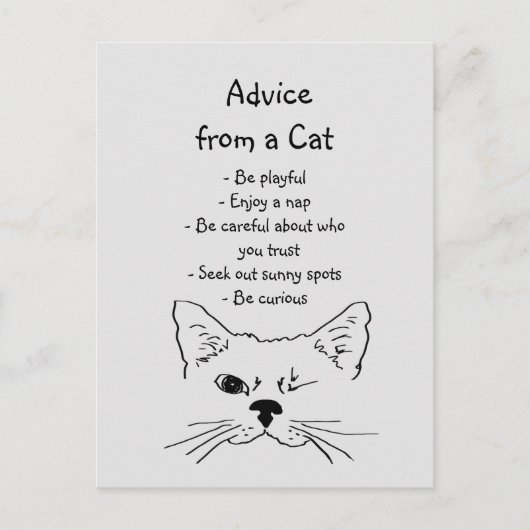 Carte Postale Conseils de Winking Cat amusant Humour animal (Devant)