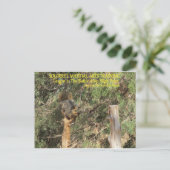 Carte Postale Conseils d'entraînement Nnja écurerel (Debout devant)