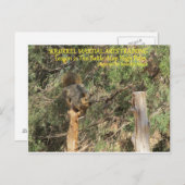 Carte Postale Conseils d'entraînement Nnja écurerel (Devant / Derrière)