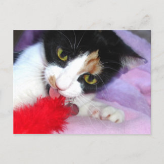 Carte Postale Conservez-le !