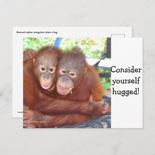 Carte Postale Consider Yourself Hugged (Devant / Derrière)
