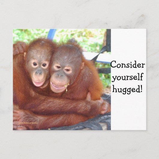 Carte Postale Consider Yourself Hugged (Devant)
