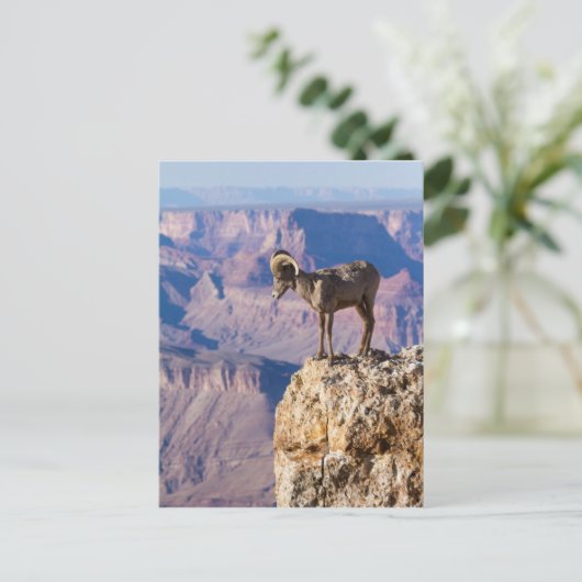 Carte Postale Considérer l'abîme (Debout devant)