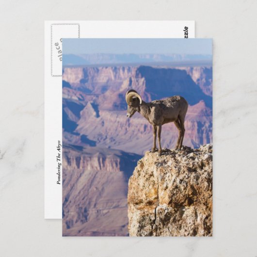 Carte Postale Considérer l'abîme (Devant / Derrière)