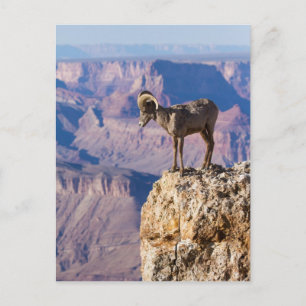 Carte Postale Considérer l'abîme