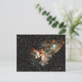 Carte Postale Constellation (Debout devant)