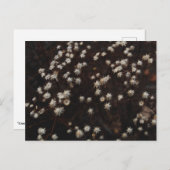 Carte Postale "Constellation Bosque" (Devant / Derrière)