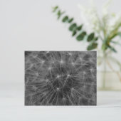 Carte Postale Constellation de Dandelion (Debout devant)