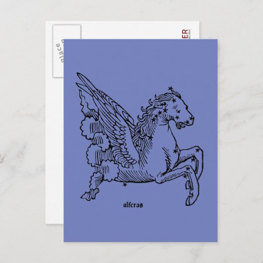 Carte Postale Constellation : Pegasus (Devant / Derrière)