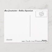 Carte Postale Constricteur Boa n° 1 (Dos)