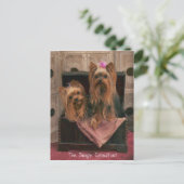 Carte Postale Consultant d'images (Debout devant)