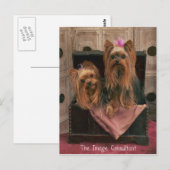 Carte Postale Consultant d'images (Devant / Derrière)