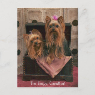 Carte Postale Consultant d'images