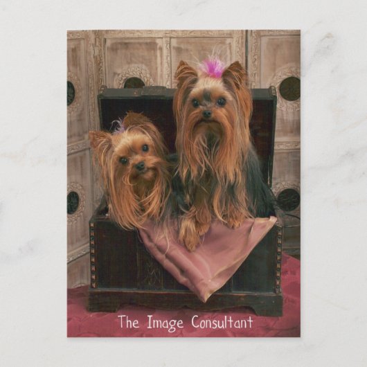Carte Postale Consultant d'images (Devant)