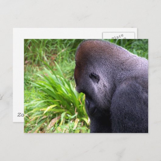 Carte Postale Contemplation (Devant / Derrière)