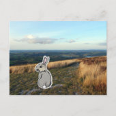 Carte Postale Contemplative Rabbit (color) (Devant)