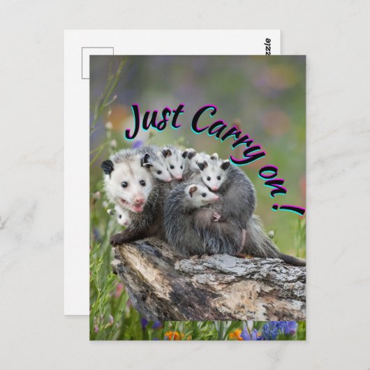 Carte Postale Continuez ! (Devant / Derrière)