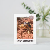 Carte Postale Continuez à aller Inspirational Coddiwompling Turt (Debout devant)