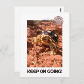 Carte Postale Continuez à aller Inspirational Coddiwompling Turt (Devant / Derrière)
