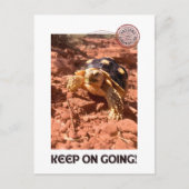 Carte Postale Continuez à aller Inspirational Coddiwompling Turt (Devant)