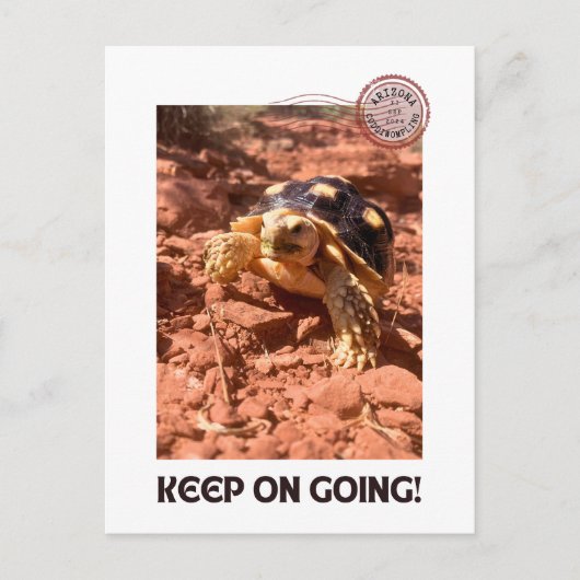 Carte Postale Continuez à aller Inspirational Coddiwompling Turt (Devant)