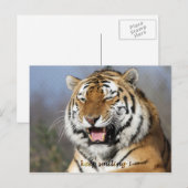 Carte Postale continuez à sourire (Devant / Derrière)