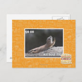 Carte Postale Continuez avec moi (Devant / Derrière)