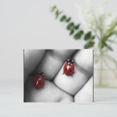 Carte Postale contraste lieveheersbeestje (Debout devant)