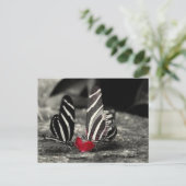 Carte Postale contraste vlinder (Debout devant)