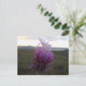 Carte Postale Contre le grain (Debout devant)