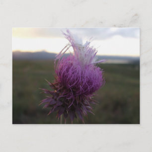 Carte Postale Contre le grain