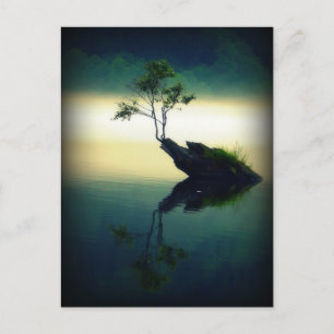 Carte Postale Contre tous les obstacles - Belle photo d'arbre