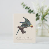 Carte Postale Conure de Caroline, Conuropsis carolinensis (Debout devant)
