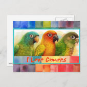 Carte Postale Conures à carreaux verts à couronnes bleues (Devant / Derrière)