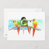 Carte Postale Conures à la joue verte (Devant / Derrière)