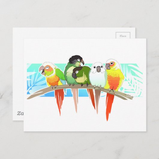 Carte Postale Conures à la joue verte (Devant / Derrière)