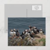 Carte Postale Convention de Puffin (Devant / Derrière)
