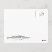 Carte Postale Conversation (Dos)