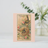 Carte Postale Conversation à poitrine jaune (Debout devant)