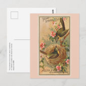 Carte Postale Conversation à poitrine jaune (Devant / Derrière)