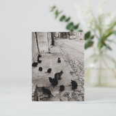 Carte Postale Conversations Bercy - Paris - 1974- Robert Doisnea (Debout devant)