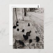 Carte Postale Conversations Bercy - Paris - 1974- Robert Doisnea (Devant / Derrière)