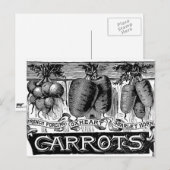 Carte Postale Convertir 4 carottes vintages (Devant / Derrière)