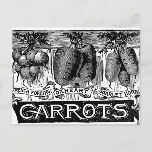 Carte Postale Convertir 4 carottes vintages (Devant)