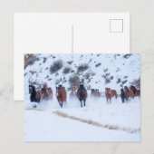 Carte Postale Convoi de chevaux Cowboy | Ranch Hideout, Shell, W (Devant / Derrière)