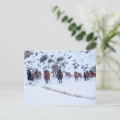 Carte Postale Convoi de chevaux Cowboy | Ranch Hideout, Shell, W (Debout devant)